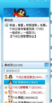 谁有TVB或是港台电视的群 