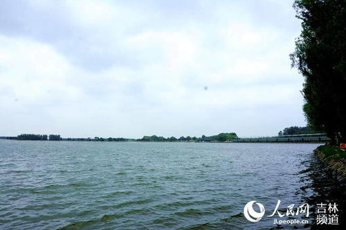 兴业农场清泉湖文化旅游度假区开园 打造生态文化旅游新名片