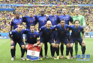 巴西世界杯荷兰阵容(2014巴西世界杯荷兰vs巴西)