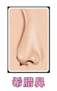 4种好看鼻子的类型全览,看看你是哪种形