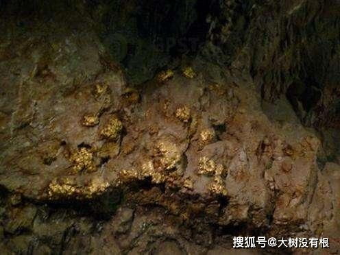 陶托那金矿是世界最深的金矿,专家还在下面,发现 恶魔蠕虫