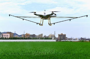 植保无人机喷洒农药 3分钟搞定一亩地 