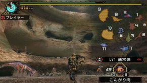 PSP 怪物猎人P3 六张地图详细介绍 