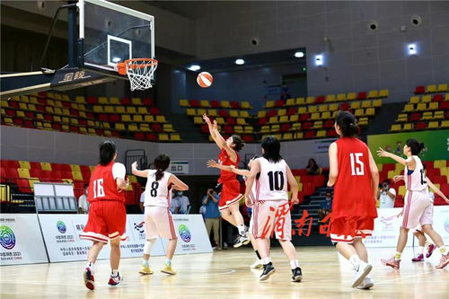 第十四届全国运动会篮球项目测试赛 渭南赛区 今日开赛