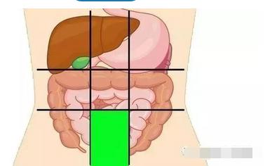上中下腹部位置图片(上中下腹部分区)