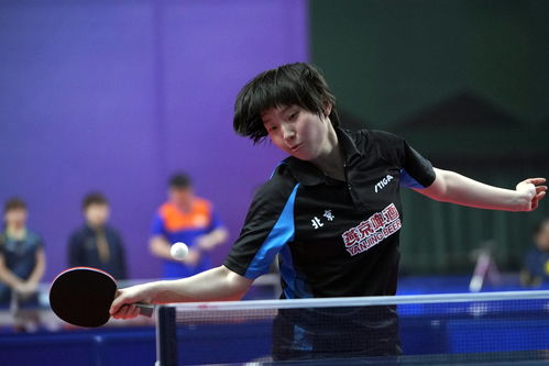 乒乓球 全运会资格赛女团 北京队 河南队晋级决赛