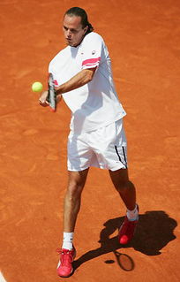 法国网球公开赛男单比赛 红土场长腿巨人 