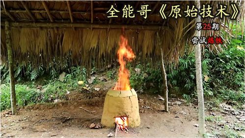 原始技术王者,越南全能哥荒野中尝试炼铁,从无到有的原始生活 