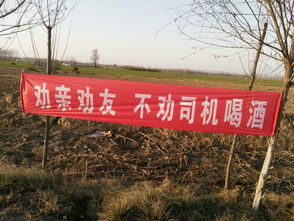 河南乡村宣传酒驾标语 最后一个亮了 