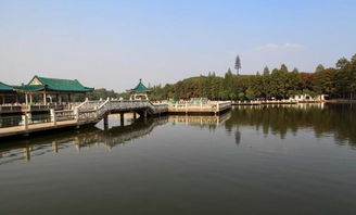 中国最大城中湖,6个西湖,据说体力好的人要走1天 
