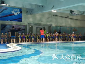 上海市浦东新区第二少年儿童体育学校游泳训练基地课程 价格 简介 怎么样 上海学习培训 