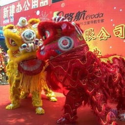 上海舞龙舞狮表演团队 专业舞龙舞狮表演 锣鼓彩车给您带来最精彩的演绎供应商 