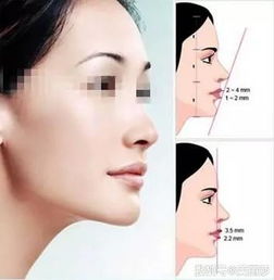 女士好看鼻子效果图相学最有福气的7种鼻子图片(女人六种鼻子好命图天涯)