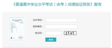 重庆普通高中学业水平考试 会考 成绩验证报告查询入口 