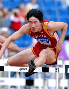 中国夺得男子110米栏金牌 刘翔跨栏英姿 