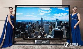 全球最大屏 三星CES将发表110寸UHD电视