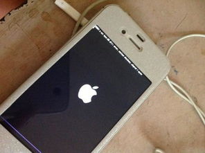 苹果充电时一直闪白苹果(iphone充电闪白屏)