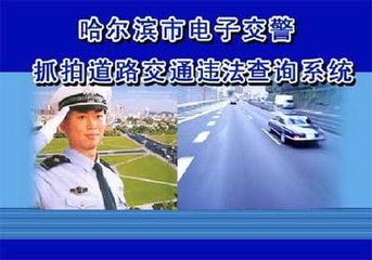 哈尔滨车辆违章记录查询上交警信息网 
