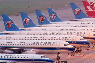 南航目前拥有310多架运输机成为国内最大机队 