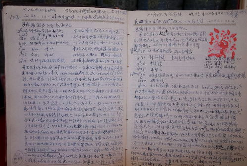 竺可桢的日记手稿真惊艳,字迹开阔果敢,沉着从容,笔笔精彩