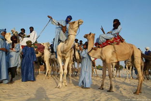 探秘北非摩洛哥柏柏尔人的新娘集市 女孩12岁上集市 